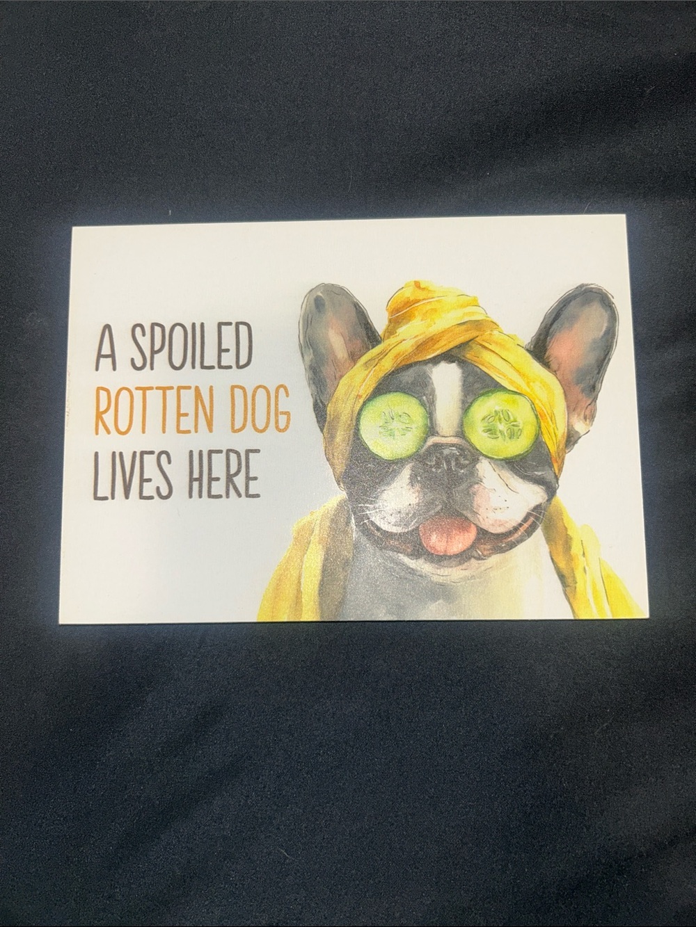Yellow Spa Dog Sign – 'A Spoiled Rotten Dog Lives Here'